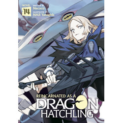 REINCARNATED AS A DRAGON HATCHLING (LIGHT NOVEL) VOL. 14