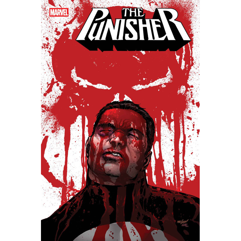 PUNISHER 6