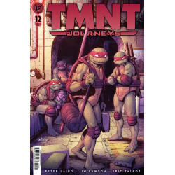 TMNT: JOURNEYS 12 VARIANT B (SANTOLOUCO)