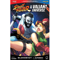 STREET FIGHTER VS. THE VALIANT UNIVERSE SPECIAL VARIANT C (ITRI)