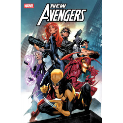 NEW AVENGERS VOL. 2: THE OTHER WOMAN