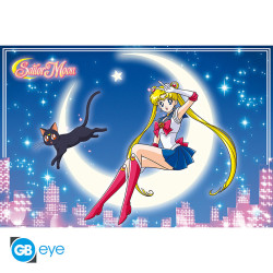 SAILOR MOON ET LUNA POSTER MAXI 91 5X61