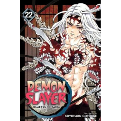 DEMON SLAYER KIMETSU NO YAIBAVOLUME 22 THE WHEEL OF FATE IN ENGLISH