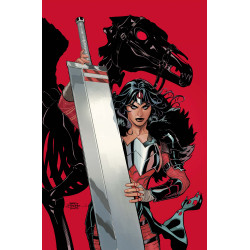 ABSOLUTE WONDER WOMAN 20 CVR B TERRY DODSON CARD STOCK VAR