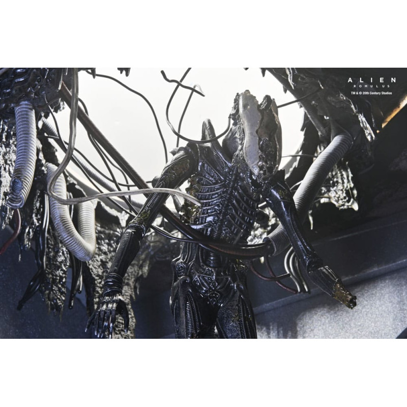 SUSPENDED LAB XENOMORPH ULTIMATE ALIEN ROMULUS 7IN SCALE ACTION FIGURE