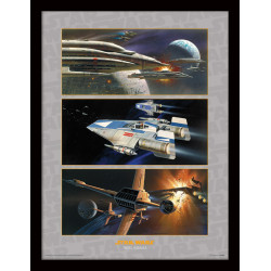 REBEL ASSAULT STAR WARS 30 X 40 CM