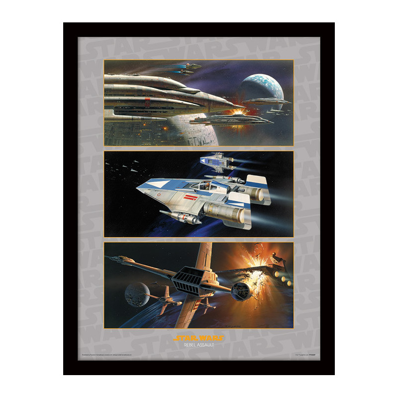 REBEL ASSAULT STAR WARS 30 X 40 CM