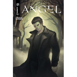 ANGEL 1 CVR D MEGHAN HETRICK VAR