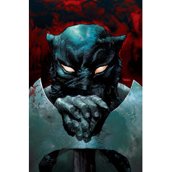 FIRE AND ICE DARKWOLF 2 CVR F DAN PANOSIAN METAL PREMIUM VAR