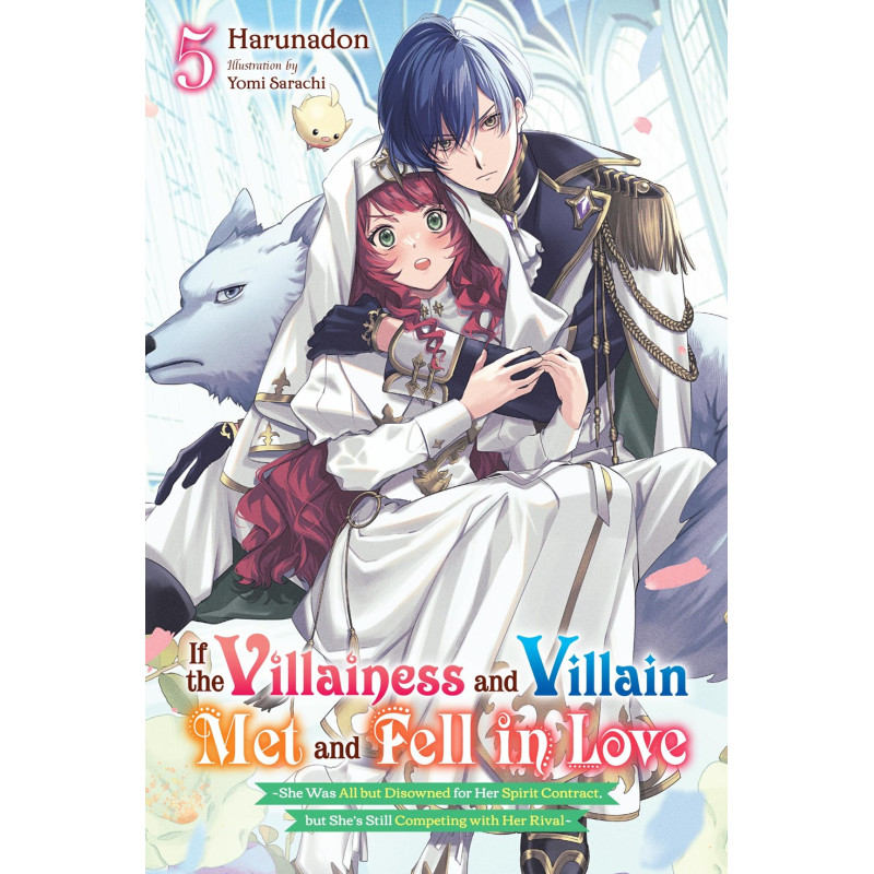 IF THE VILLAINESS AND VILLAIN MET AND FELL IN LOVE LIGHT NOVEL VOL 05