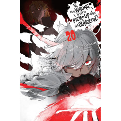 IS IT WRONG TO TRY TO PICK UP GIRLS IN A DUNGEON LIGHT NOVEL VOL 20