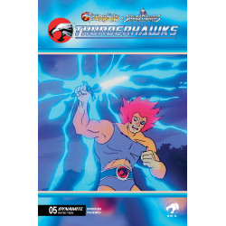 THUNDERCATS X SILVERHAWKS THUNDERHAWKS 5 CVR E ANIMATION ART VAR