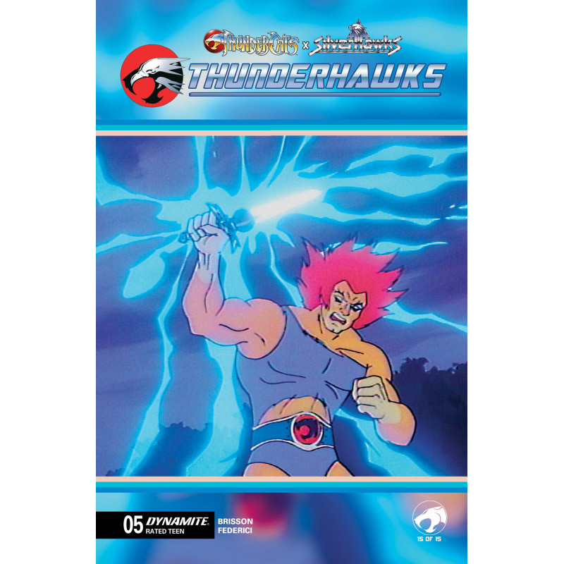 THUNDERCATS X SILVERHAWKS THUNDERHAWKS 5 CVR E ANIMATION ART VAR