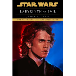 LABYRINTH OF EVIL: STAR WARS LEGENDS