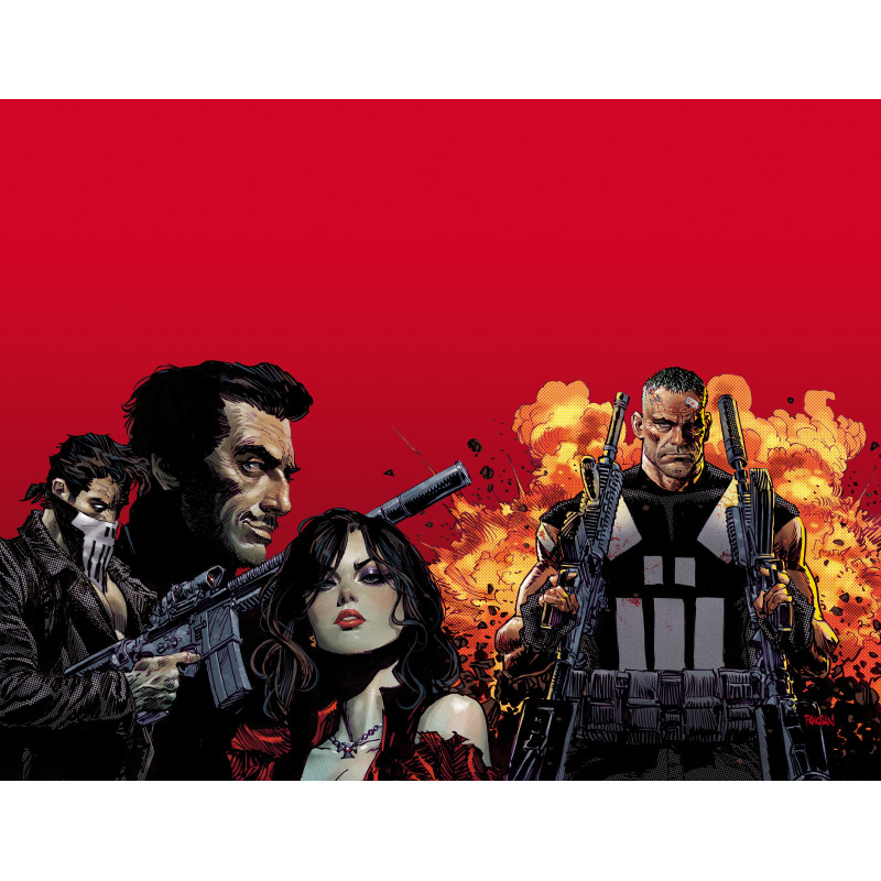 MARVEL KNIGHTS: PUNISHER