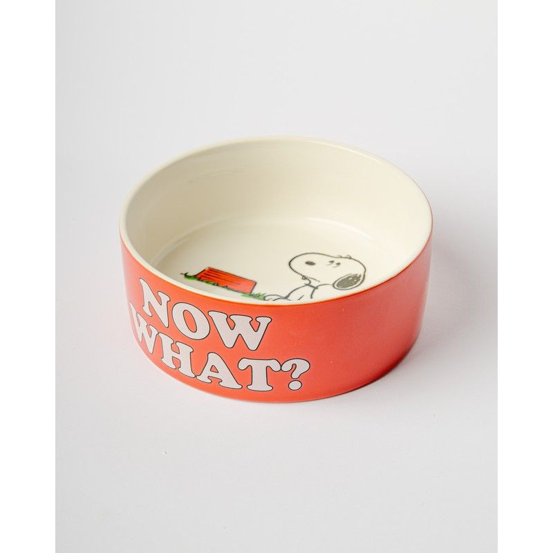PEANUTS BOL GAMELLE SNOOPY ROUGE