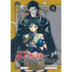 NO LONGER ALLOWED IN ANOTHER WORLD TOME 11