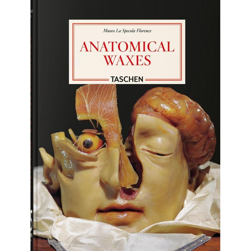 ANATOMICAL WAXES 45TH ED EDITION MULTILINGUE