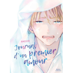 JOURNAL D UN PREMIER AMOUR