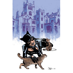 CATWOMAN 91 CVR C CHARLIE ADLARD CARD STOCK VAR (BATMAN BAD SEEDS)