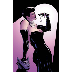 CATWOMAN 91 CVR D CHLOE BRAILSFORD CARD STOCK VAR (BATMAN BAD SEEDS)