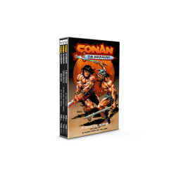 CONAN THE BARBARIAN HC VOL 04-06 SLIPCASE SET DIRECT MARKET EDITION DAN PANOSIAN CVR (MR)