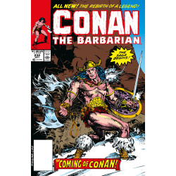 CONAN THE BARBARIAN THE ORIGINAL COMICS OMNIBUS HC VOL 09 REGULAR EDITION MICHAEL HIGGINS (MR)