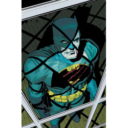 POISON IVY 48 CVR E HAYDEN SHERMAN DARK KNIGHT RETURNS 40TH ANNIVERSARY CARD STOCK VAR (BATMAN BAD SEEDS)