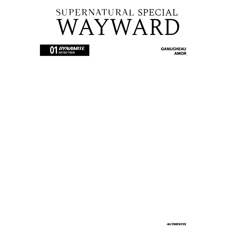 SUPERNATURAL WAYWARD SPECIAL 1 (ONE SHOT) CVR D BLANK AUTHENTIX VAR