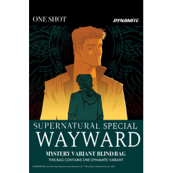 SUPERNATURAL WAYWARD SPECIAL 1 (ONE SHOT) CVR E MYSTERY BLIND BAG VAR Quantities are limited. Allocations may occur.