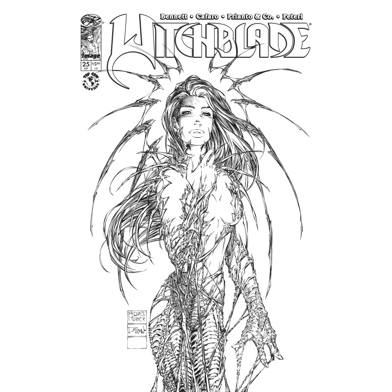 WITCHBLADE 25 CVR B MICHAEL TURNER & DTRON VAR