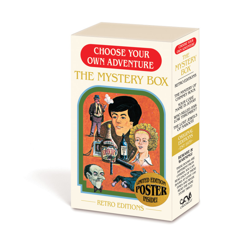 THE MYSTERY BOX