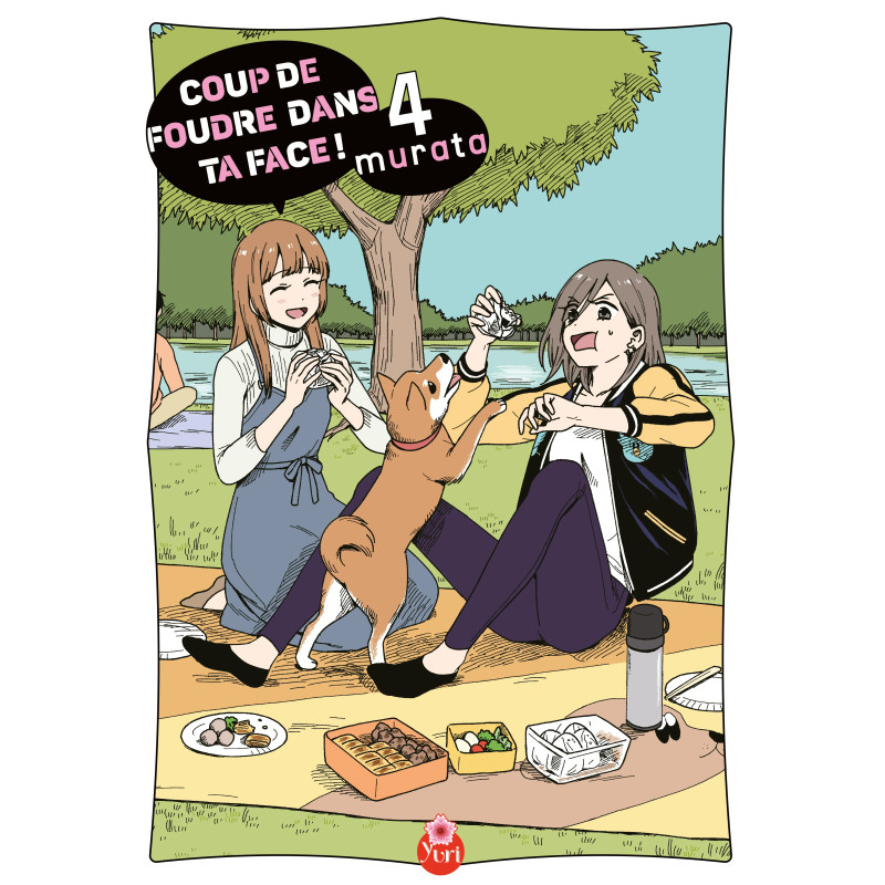 COUP DE FOUDRE DANS TA FACE TOME 04