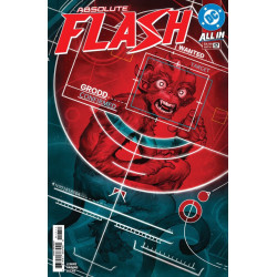 ABSOLUTE FLASH 17 CVR A NICK ROBLES