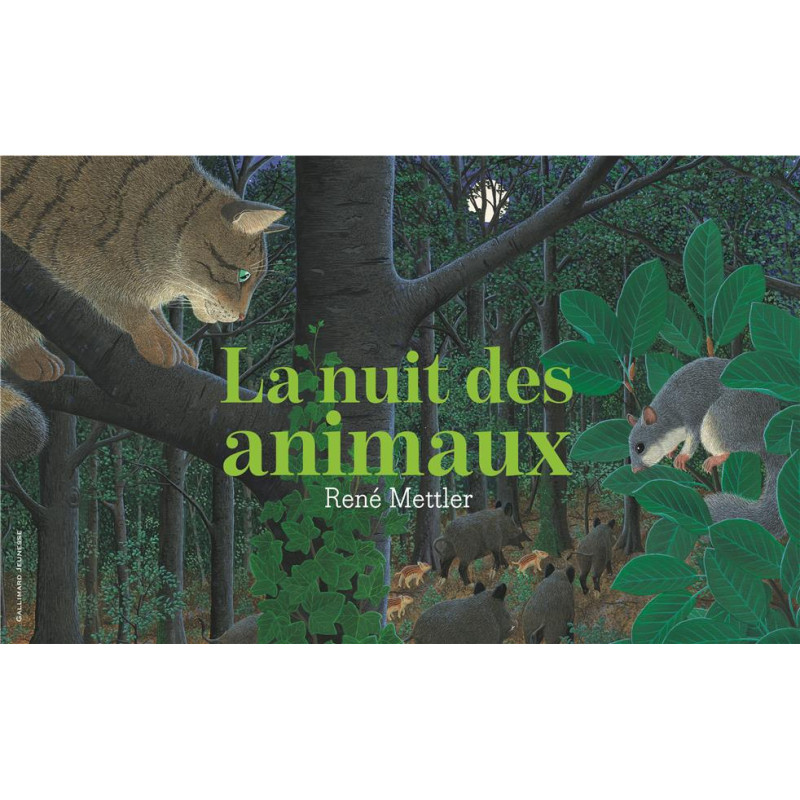 LA NUIT DES ANIMAUX