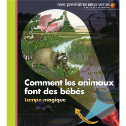 COMMENT LES ANIMAUX FONT DES BEBES