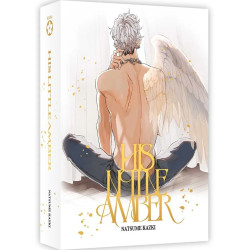 HIS LITTLE AMBER BOX COLLECTOR (TOMES 1 ET 2)
