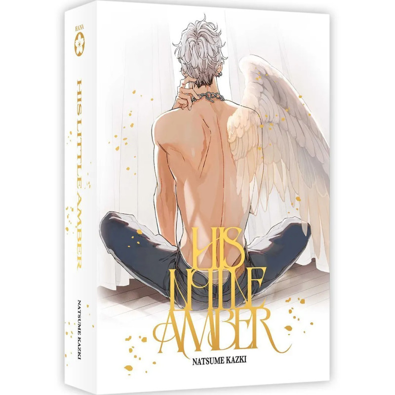 HIS LITTLE AMBER BOX COLLECTOR (TOMES 1 ET 2)