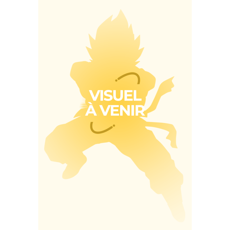 NARUTO BLOKEES GALAXY VERSION 04 WAR BEGINS BOITE MYSTERE BLIND BOX