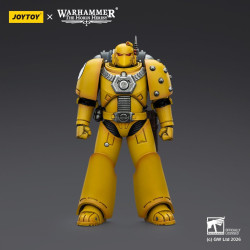 IMPERIAL FISTS MKVI TACTICAL LEGIONARY WARHAMMER THE HORUS HERESY
