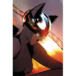 ABSOLUTE CATWOMAN 4 (OF 6) CVR B MARCIO TAKARA CARD STOCK VAR
