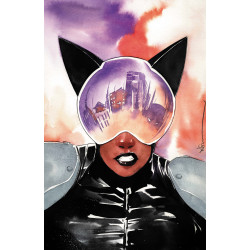 ABSOLUTE CATWOMAN 4 (OF 6) CVR C DUSTIN NGUYEN CARD STOCK VAR