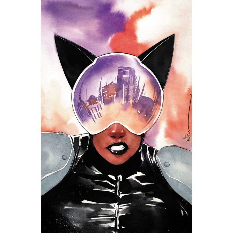 ABSOLUTE CATWOMAN 4 (OF 6) CVR C DUSTIN NGUYEN CARD STOCK VAR