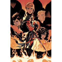 ABSOLUTE WONDER WOMAN 25 CVR C TERRY DODSON CARD STOCK VAR