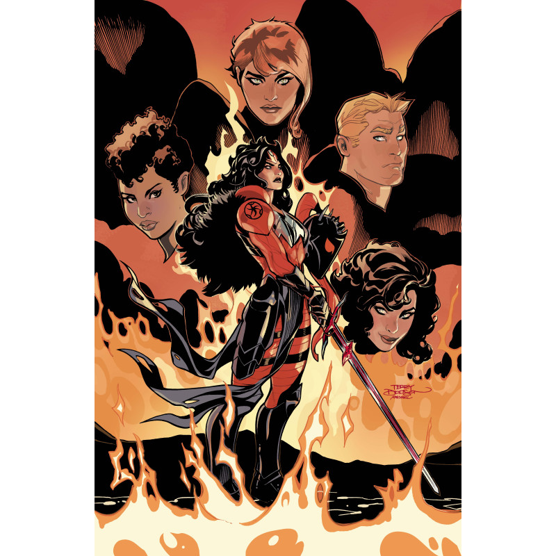 ABSOLUTE WONDER WOMAN 25 CVR C TERRY DODSON CARD STOCK VAR