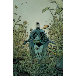 BATMAN & ROBIN YEAR ONE DYNAMIC DUOS 3 (OF 12) CVR A CHRIS SAMNEE