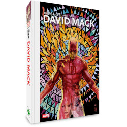 MARVEL ART OF DAVID MACK TP