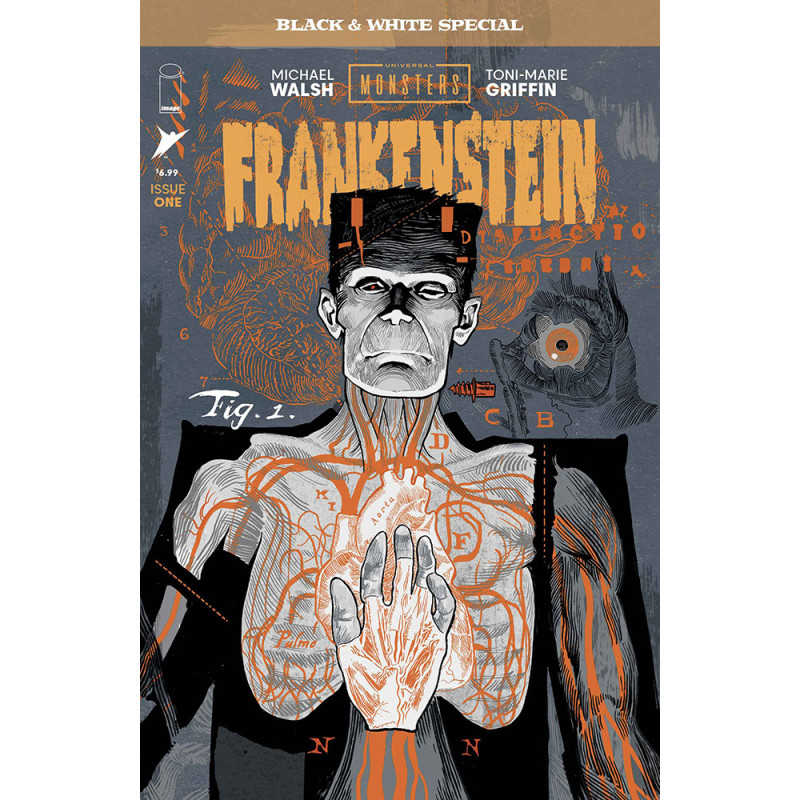 UNIVERSAL MONSTERS FRANKENSTEIN B&W SPECIAL 1 (OF 2) CVR A MICHAEL WALSH