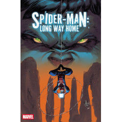 SPIDER-MAN: LONG WAY HOME 4