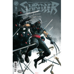 TEENAGE MUTANT NINJA TURTLES: SHREDDER 13 VARIANT B (CRAIN)